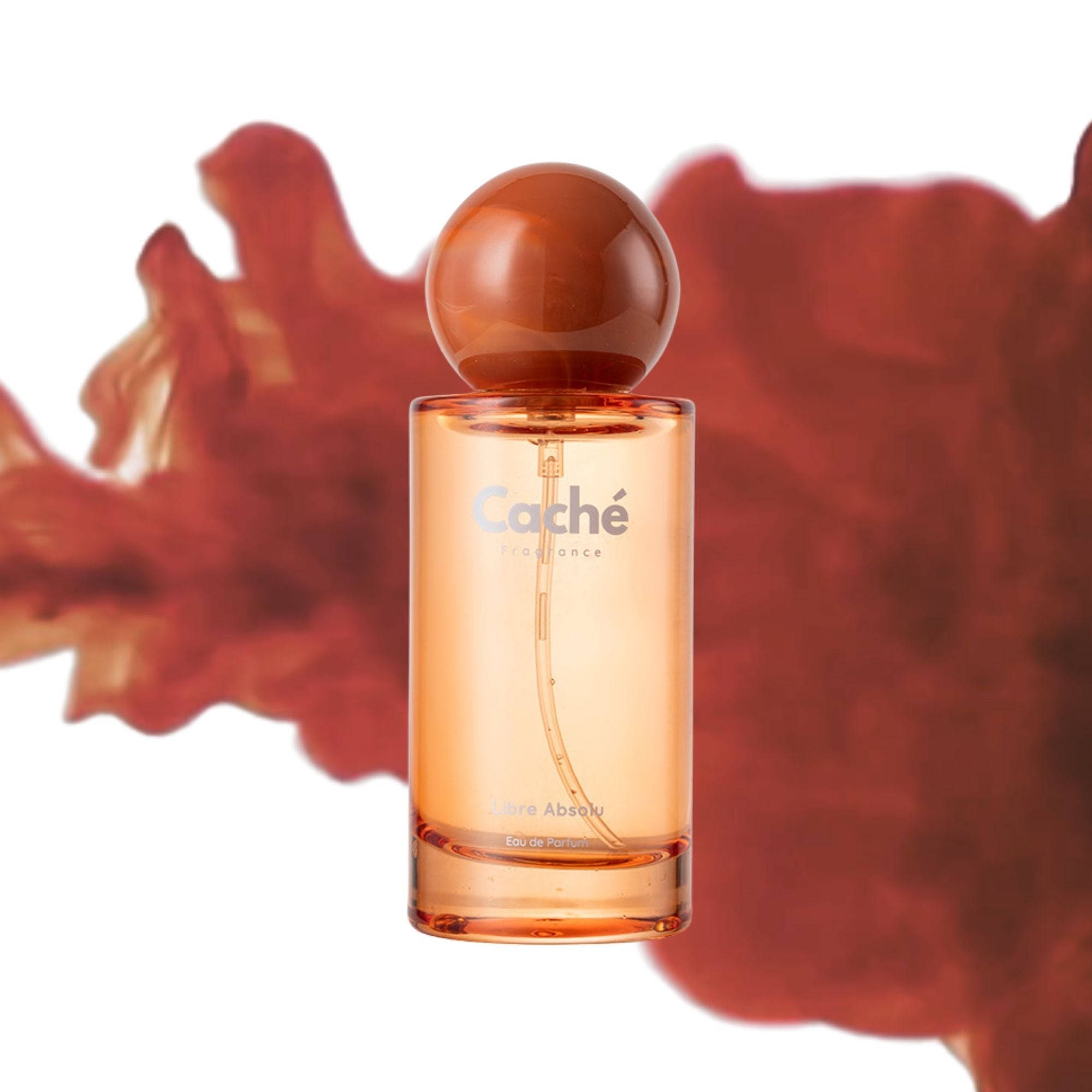 Caché - Libre Absolu-4