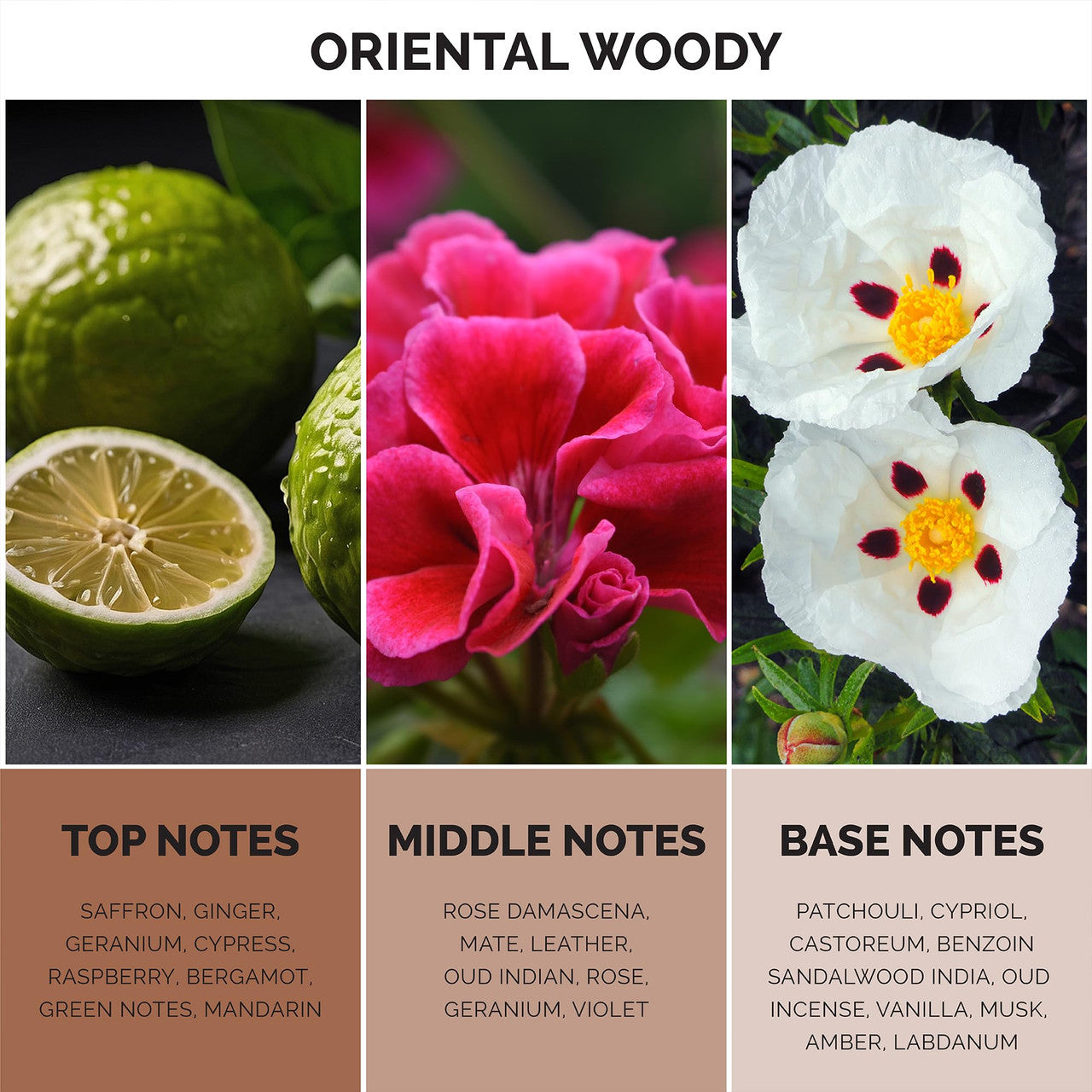 MAISON DE L'AVENIR OPULENT ODYESSY  EDP 3.4 U-2